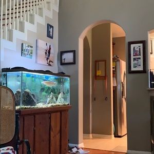 Meet your Posher, Angus